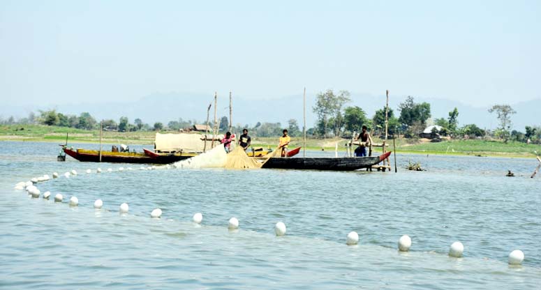 কাপ্তাই হ্রদে ৩ মাস মাছ ধরায় নিষেধাজ্ঞা