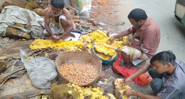 কাঁঠাল বিচির চাহিদা