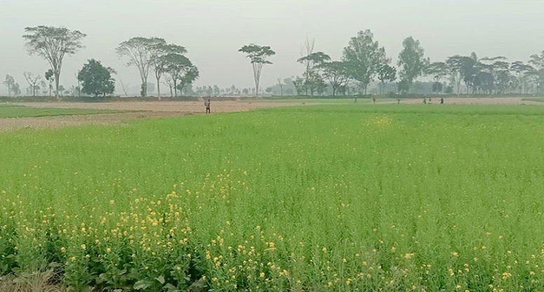 আবারও বাড়ছে শীতের তীব্রতা