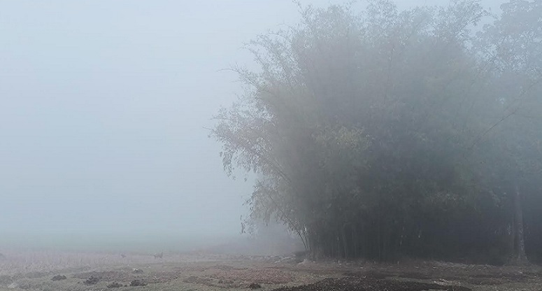 শীতে কাবু উত্তরাঞ্চল