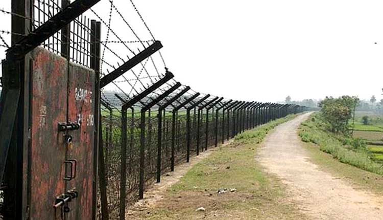 চুয়াডাঙ্গা ও সাতক্ষীরা সীমান্তে দুই বাংলাদেশি নিহত