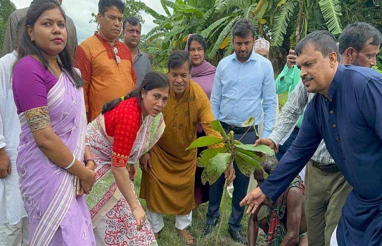 ফেনীতে উদ্ধার করা খাস জমিতে বৃক্ষ রোপণ