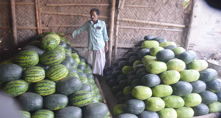 গরম শুরুর আগেই তরমুজ!