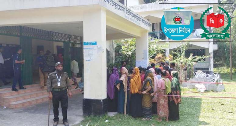 উপজেলা নির্বাচন: বেসরকারি ফলে জয়ী হলেন যারা