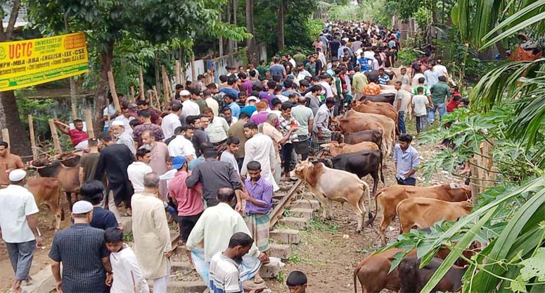 চৌধুরীহাট রেললাইনের উপর গরুর বাজার