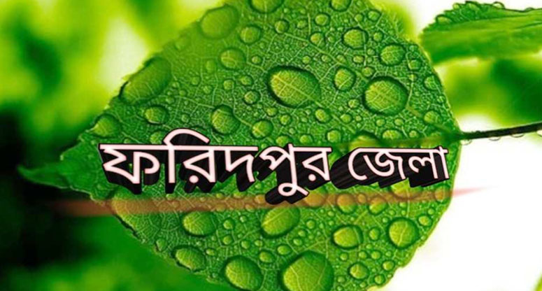 ফরিদপুরে চোর সন্দেহে বৃদ্ধকে পিটিয়ে হত্যার অভিযোগ