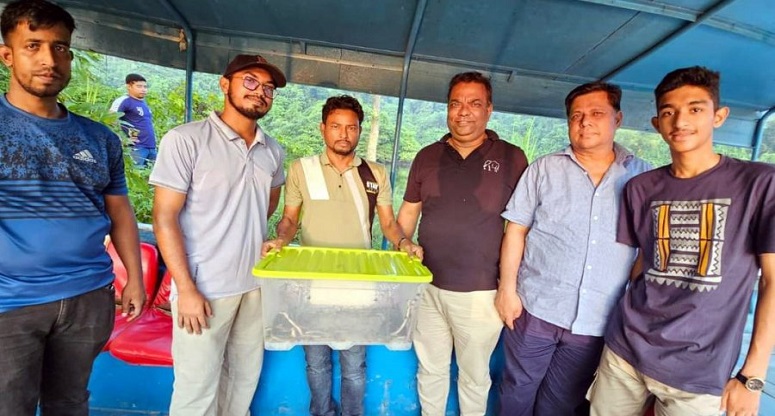 বসতবাড়ি থেকে উদ্ধার পদ্ম গোখরার ডিমে ফুটলো ৬০টি বাচ্চা