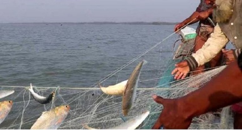 উঠে গেলো ইলিশ শিকারের নিষেধাজ্ঞা