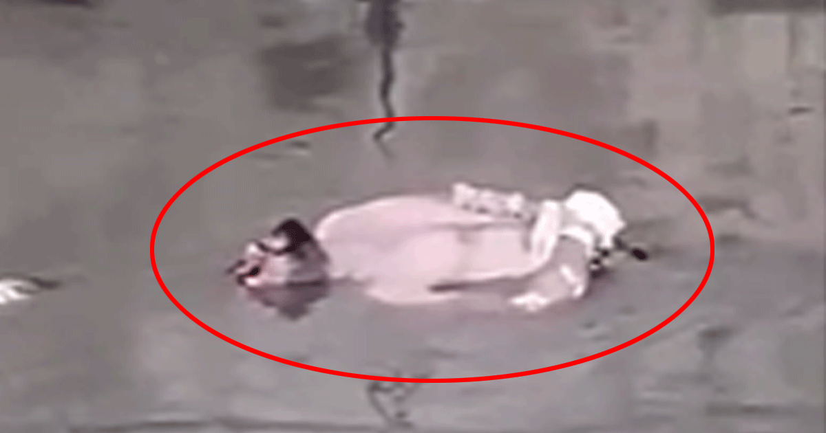 চট্টগ্রামে খালে ভাসছে অচেনা ব্যক্তির মরদেহ